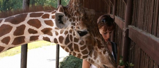 Ošetřovatelem v ZOO Ošetřovatelem v ZOO